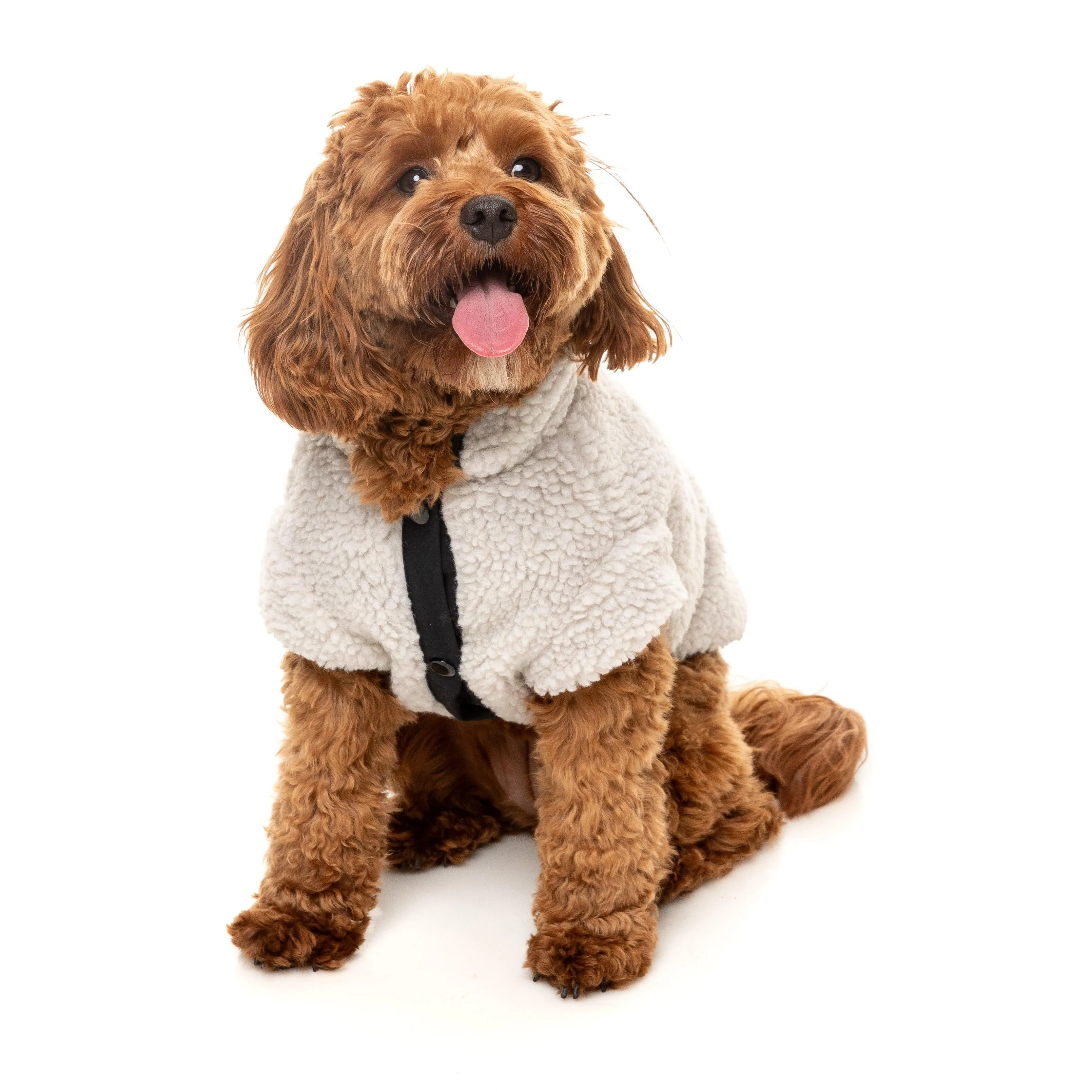 FuzzYard Dog Apparel Jacket Basecamp Stone Size 2