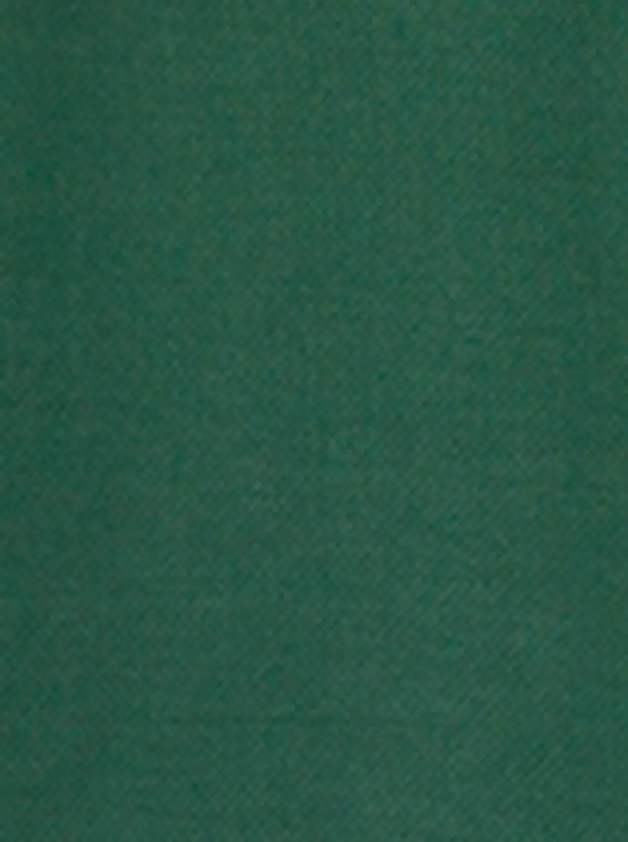 Green Solid Slim Fit Polo T-Shirt | JadeBlue