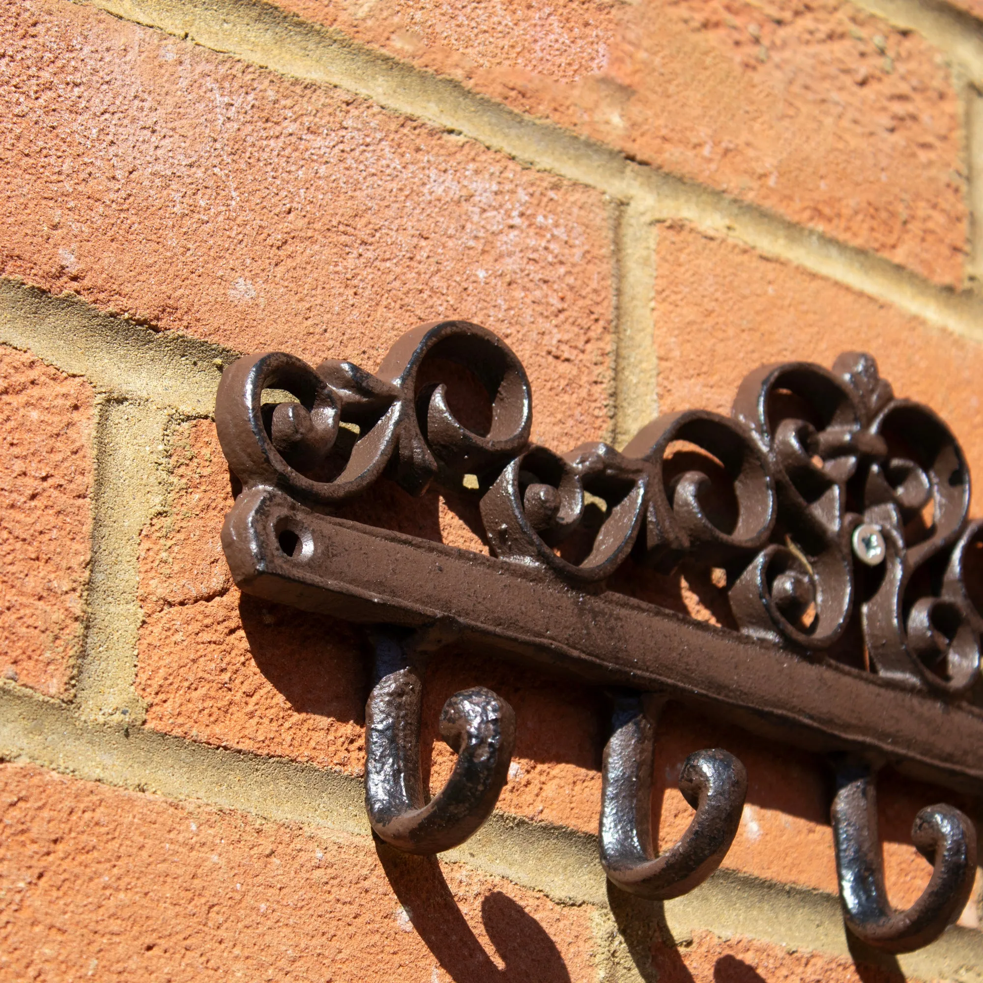 Lattice Cast Iron 5 Wall Hooks