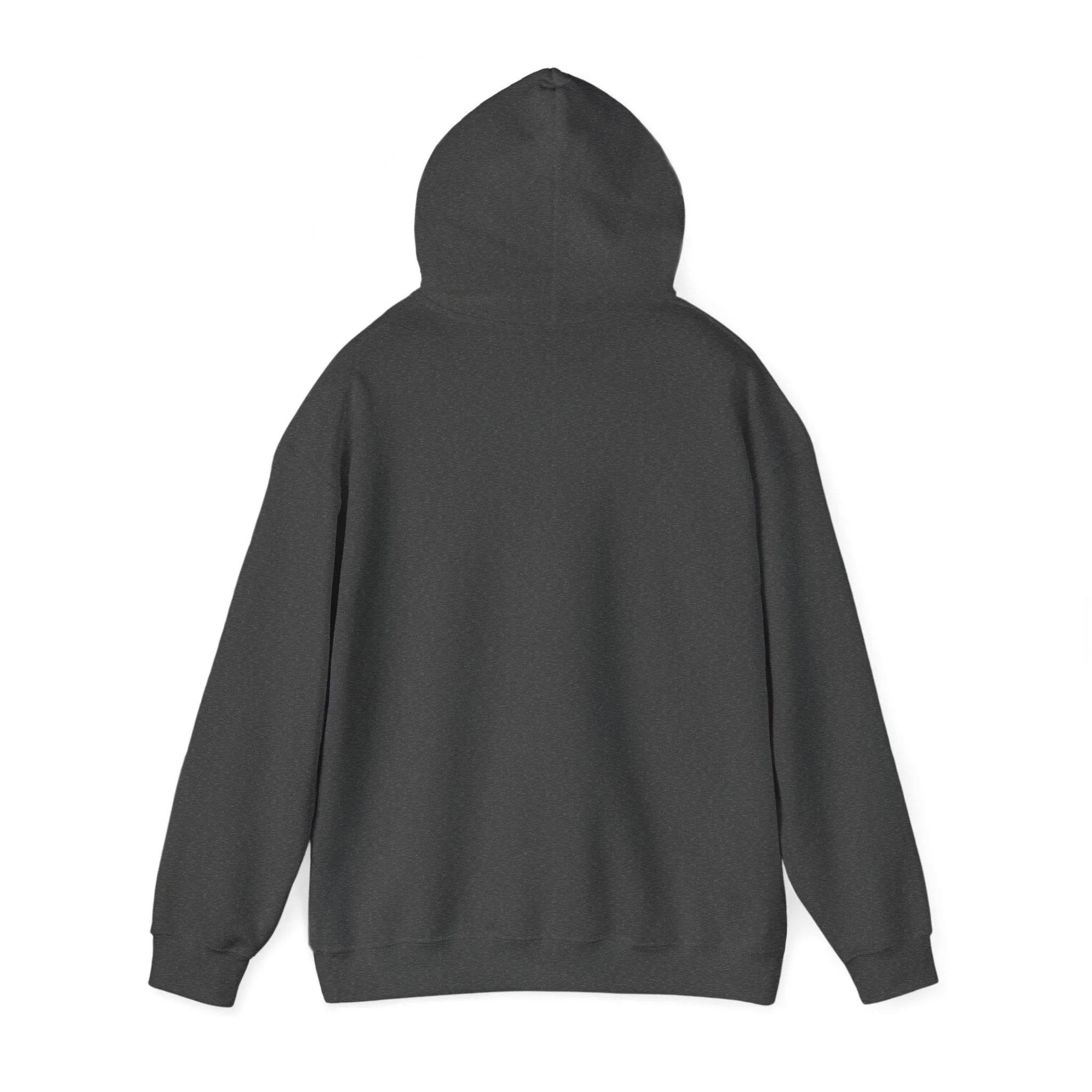 Shining Skull Unisex Heavy Blend™ Hooded Sweatshirt