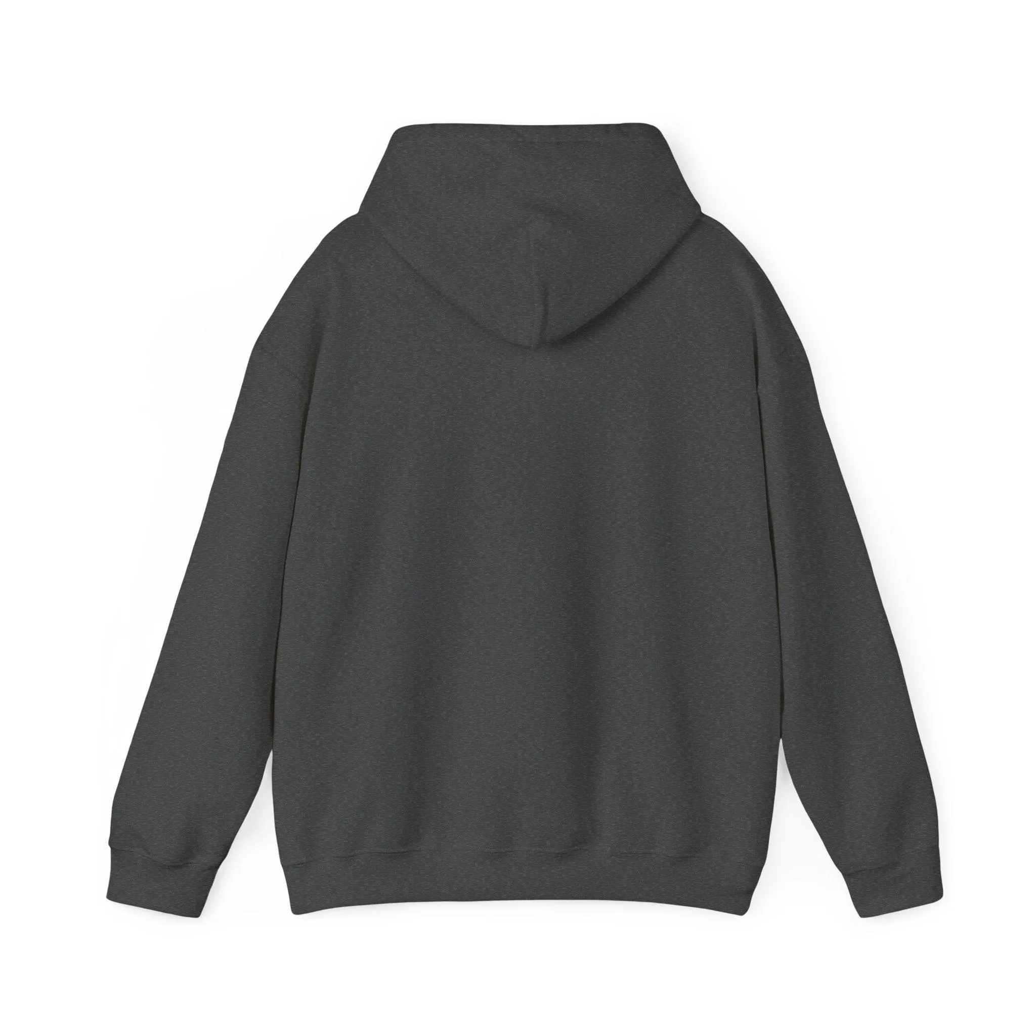 Shining Skull Unisex Heavy Blend™ Hooded Sweatshirt