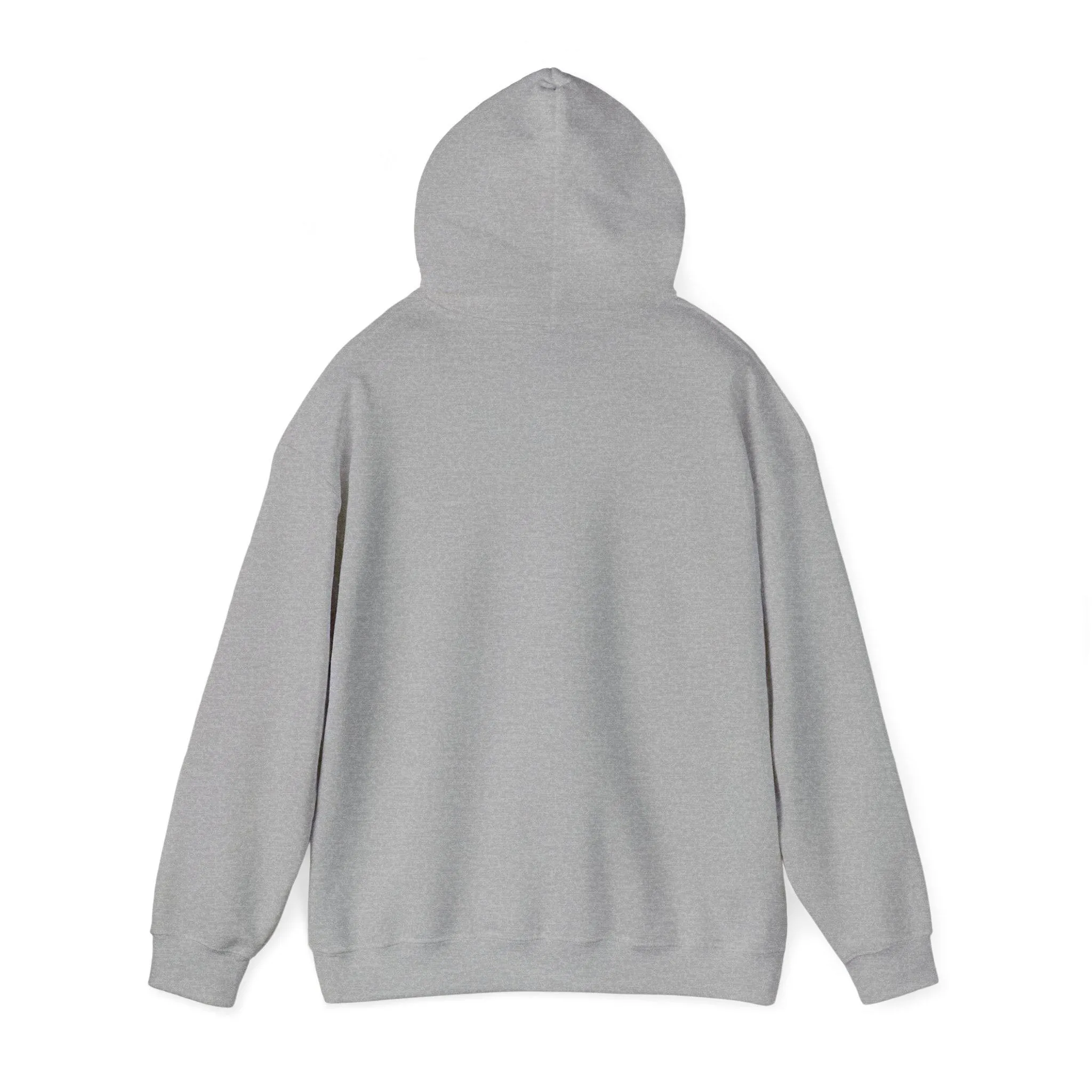 Shining Skull Unisex Heavy Blend™ Hooded Sweatshirt