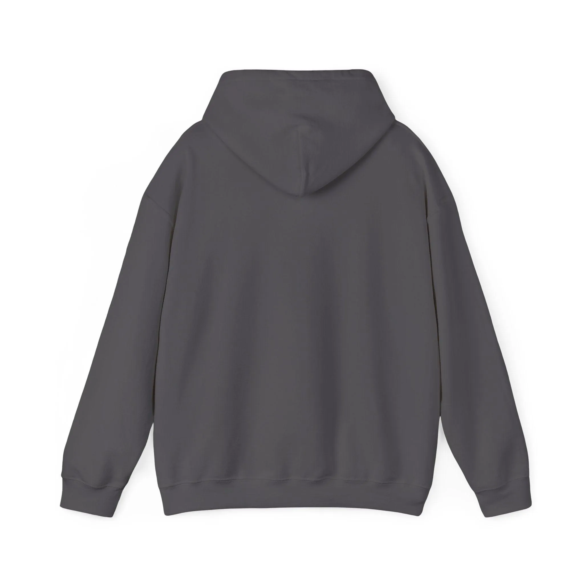 Shining Skull Unisex Heavy Blend™ Hooded Sweatshirt