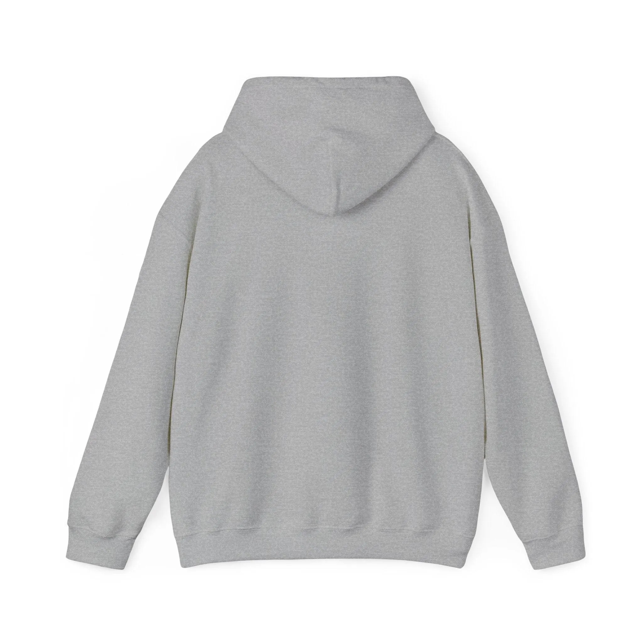 Shining Skull Unisex Heavy Blend™ Hooded Sweatshirt